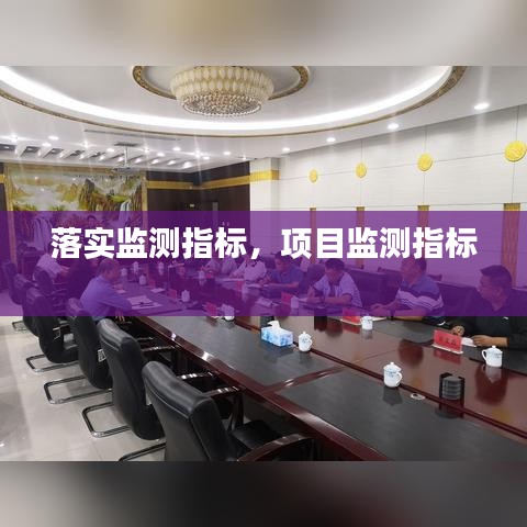 落实监测指标，项目监测指标 
