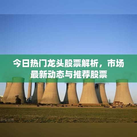 今日热门龙头股票解析,市场最新动态与推荐股票