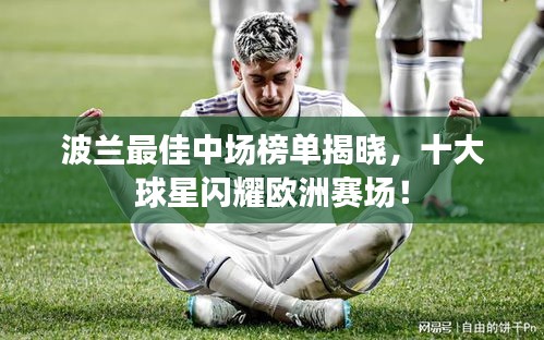 波兰最佳中场榜单揭晓，十大球星闪耀欧洲赛场！