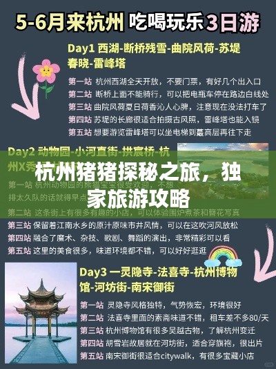 杭州猪猪探秘之旅,独家旅游攻略