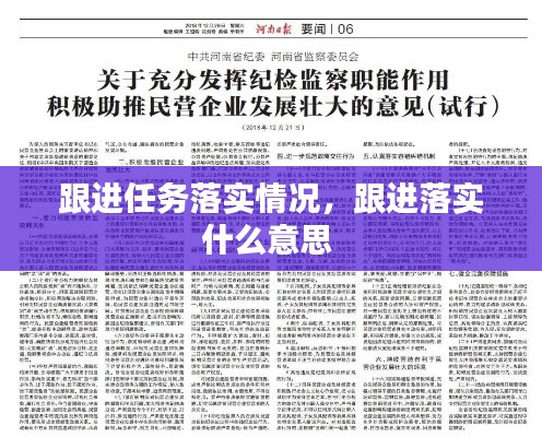 跟进任务落实情况,跟进落实什么意思