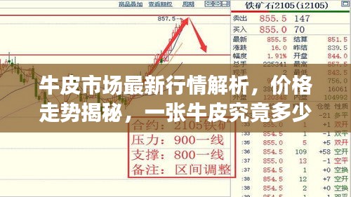 牛皮市场最新行情解析,价格走势揭秘,一张牛皮究竟多少钱?