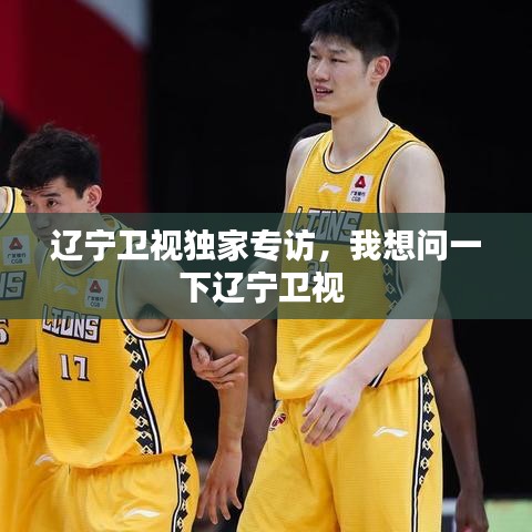 辽宁卫视独家专访，我想问一下辽宁卫视 