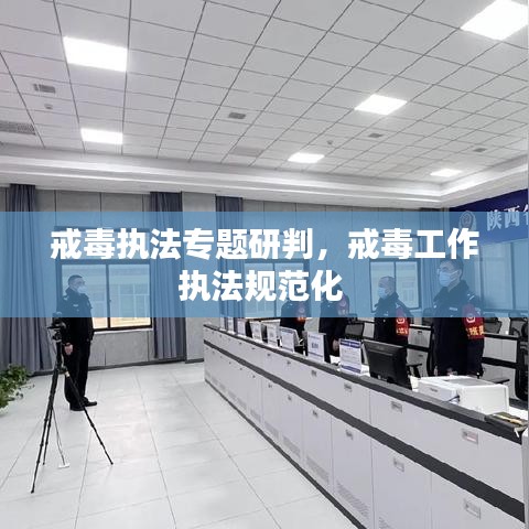 椎髻布衣 第2页