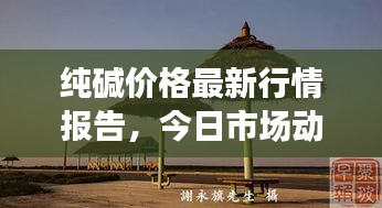 纯碱价格最新行情报告,今日市场动态聚焦,9月15日市场走势分析