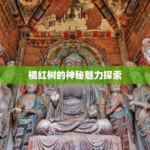 云龙井蛙 第2页