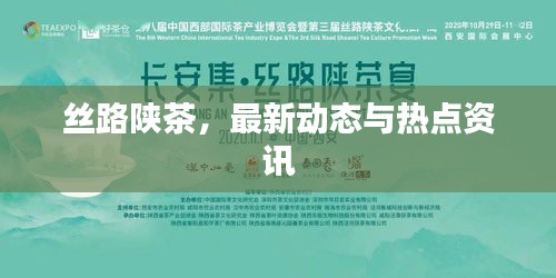 丝路陕茶，最新动态与热点资讯