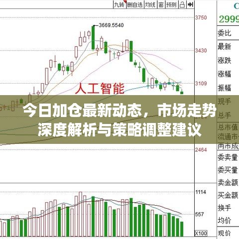 今日加仓最新动态,市场走势深度解析与策略调整建议