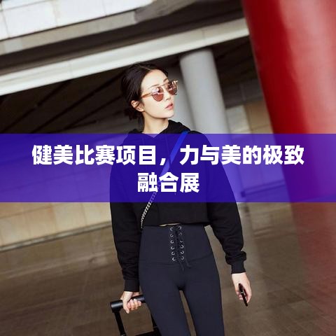 健美比赛项目,力与美的极致融合展
